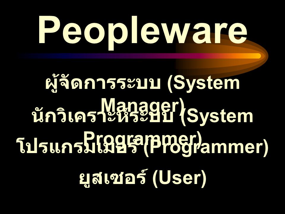 Peopleware ผู้จัดการระบบ (System Manager)