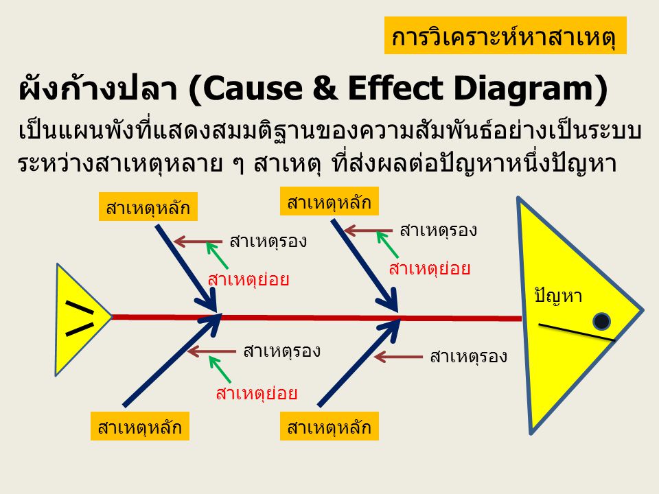 ผังก้างปลา (Cause & Effect Diagram)