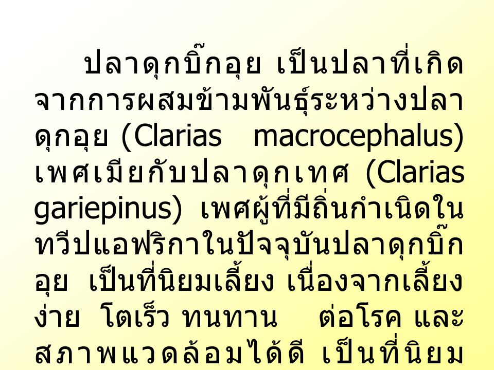 ปลาดุกบิ๊กอุย เป็นปลาที่เกิดจากการผสมข้ามพันธุ์ระหว่างปลาดุกอุย (Clarias macrocephalus) เพศเมียกับปลาดุกเทศ (Clarias gariepinus) เพศผู้ที่มีถิ่นกำเนิดในทวีปแอฟริกาในปัจจุบันปลาดุกบิ๊กอุย เป็นที่นิยมเลี้ยง เนื่องจากเลี้ยงง่าย โตเร็ว ทนทาน ต่อโรค และสภาพแวดล้อมได้ดี เป็นที่นิยมบริโภค และราคาถูก