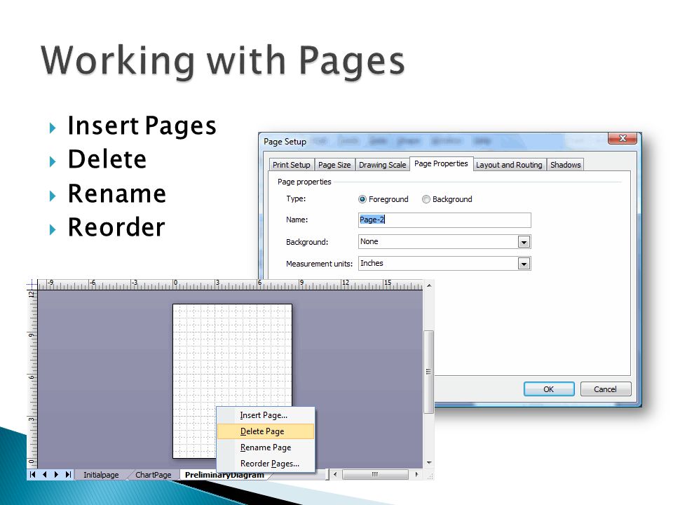 Working with Pages Insert Pages Delete Rename Reorder