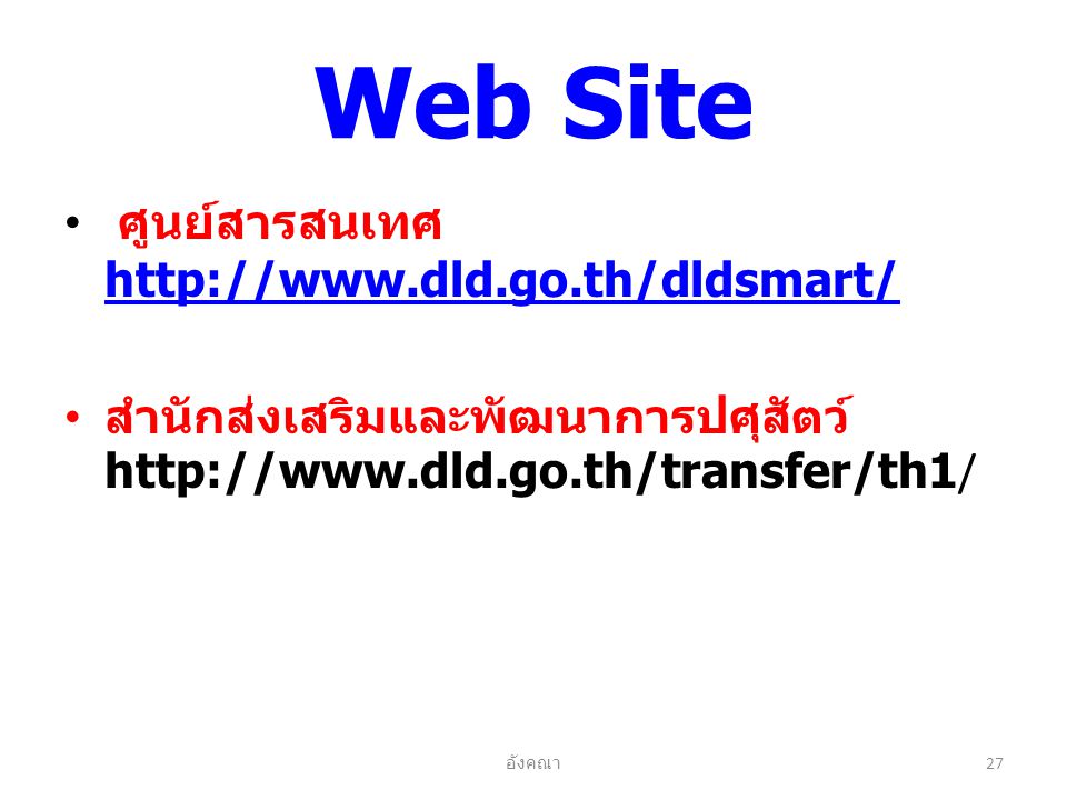 Web Site ศูนย์สารสนเทศ