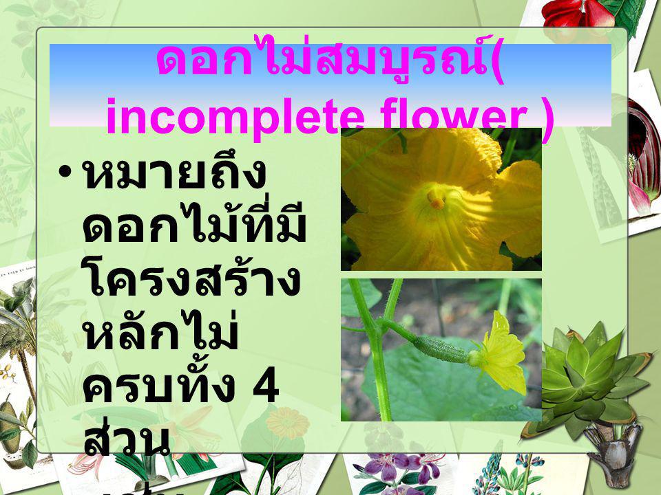ดอกไม่สมบูรณ์( incomplete flower )