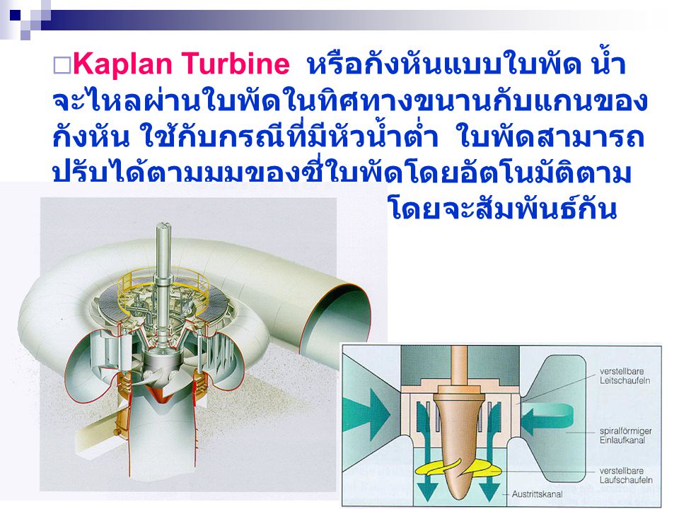 Kaplan Turbine หรือกังหันแบบใบพัด น้ำจะไหลผ่านใบพัดในทิศทางขนานกับแกนของกังหัน ใช้กับกรณีที่มีหัวน้ำต่ำ ใบพัดสามารถปรับได้ตามมุมของซี่ใบพัดโดยอัตโนมัติตามแรงอัดหรือแรงฉีดของน้ำโดยจะสัมพันธ์กันกับความแรงที่หัวฉีดน้ำ