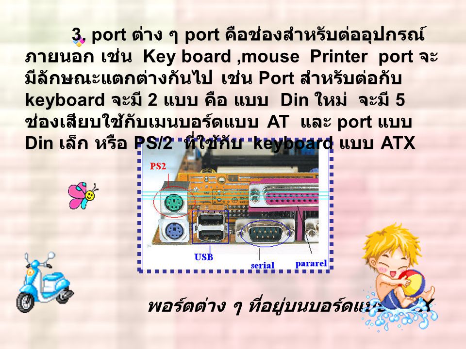 3. port ต่าง ๆ port คือช่องสำหรับต่ออุปกรณ์ ภายนอก เช่น Key board ,mouse Printer port จะมีลักษณะแตกต่างกันไป เช่น Port สำหรับต่อกับ keyboard จะมี 2 แบบ คือ แบบ Din ใหม่ จะมี 5 ช่องเสียบใช้กับเมนบอร์ดแบบ AT และ port แบบ Din เล็ก หรือ PS/2 ที่ใช้กับ keyboard แบบ ATX