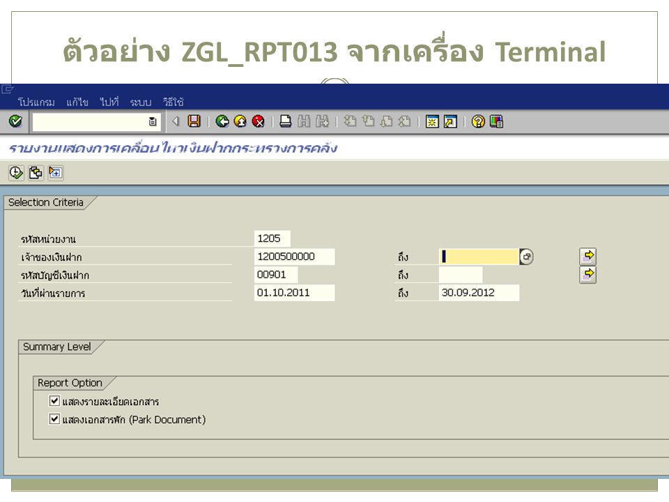 ตัวอย่าง ZGL_RPT013 จากเครื่อง Terminal