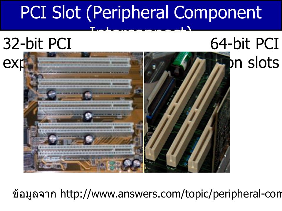 PCI Slot (Peripheral Component Interconnect)