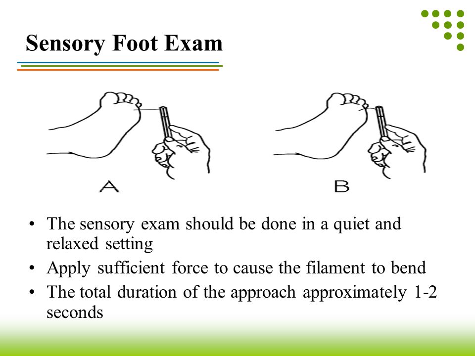 Sensory Foot Exam The sensory exam should be done in a quiet and relaxed setting. Apply sufficient force to cause the filament to bend.