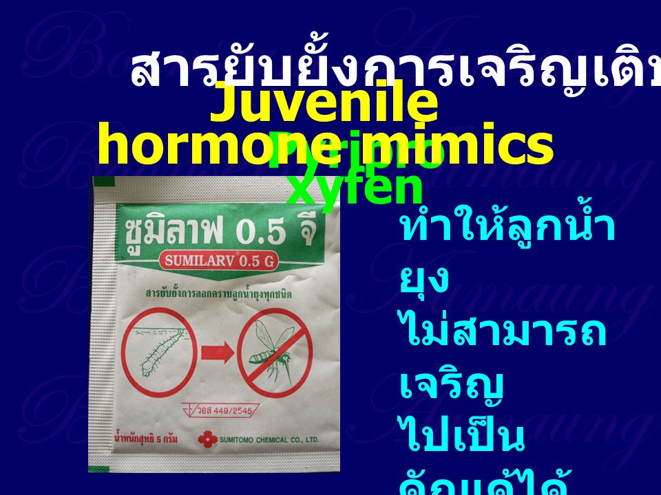 Juvenile hormone mimics