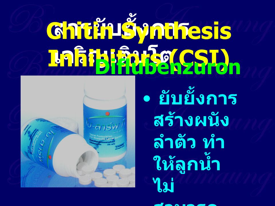 Chitin Synthesis Inhibitors (CSI)