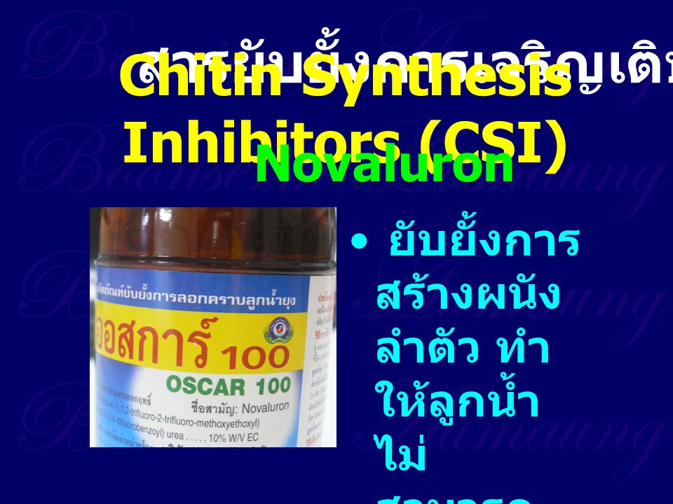 Chitin Synthesis Inhibitors (CSI)