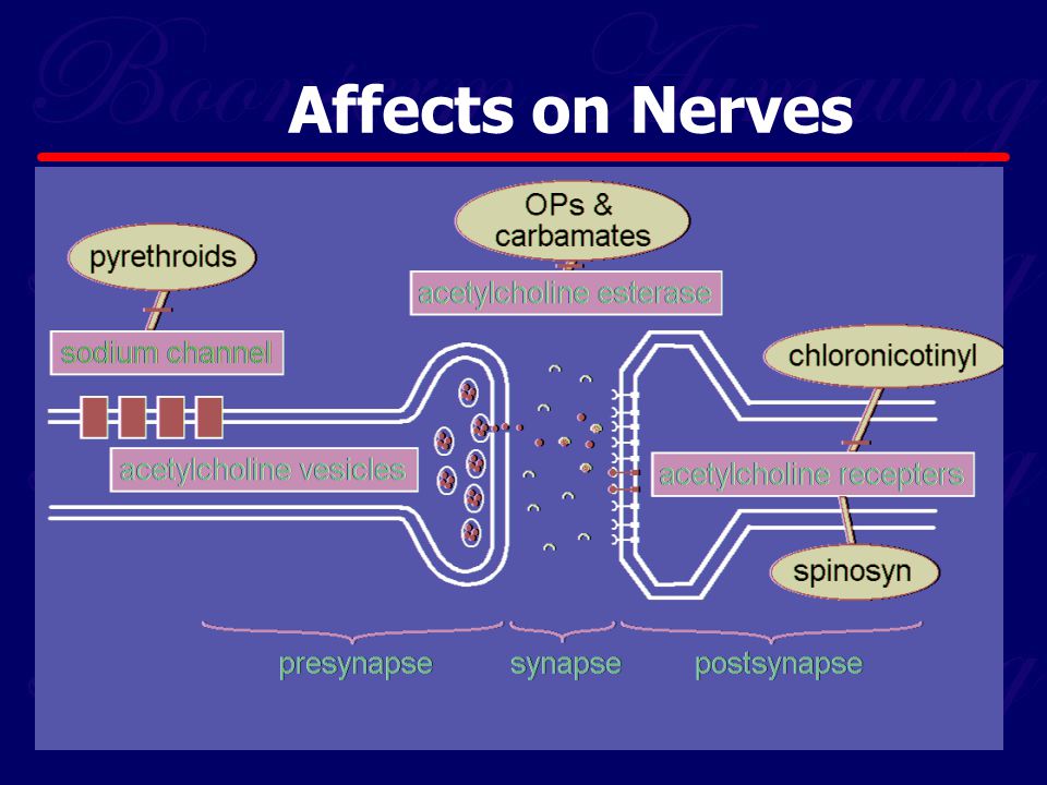 Affects on Nerves
