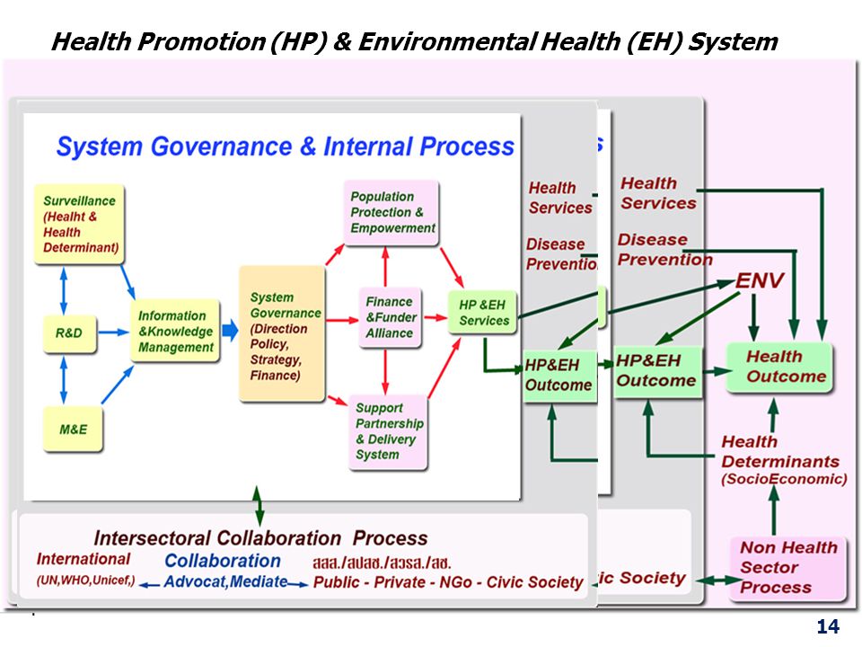 Health Promotion (HP) & Environmental Health (EH) System