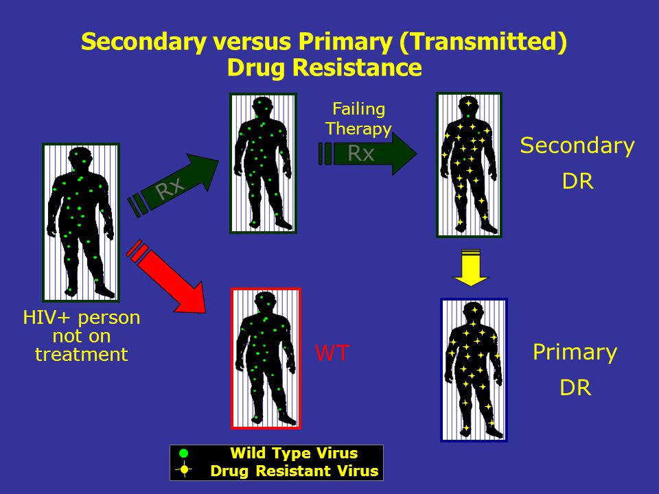 Secondary versus Primary (Transmitted) Drug Resistance