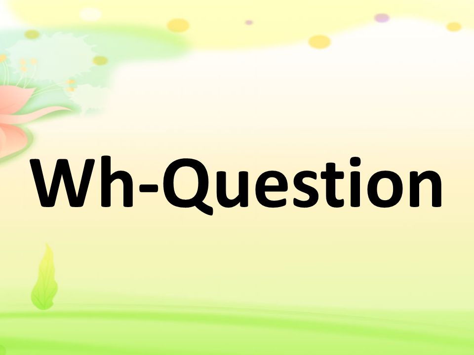 Wh-Question