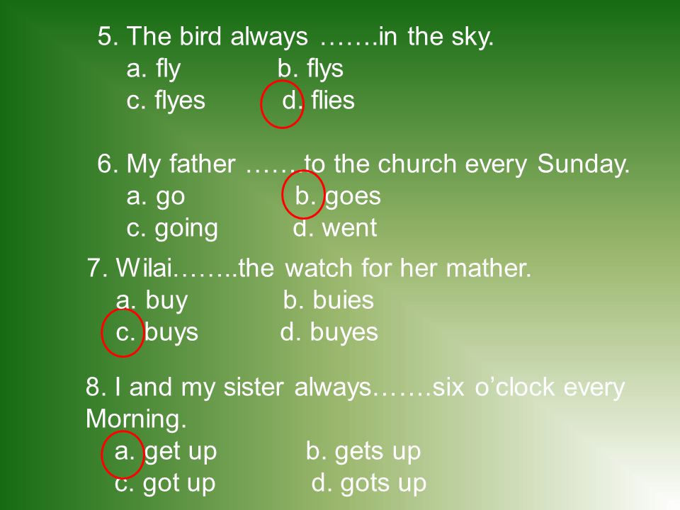 5. The bird always …….in the sky.