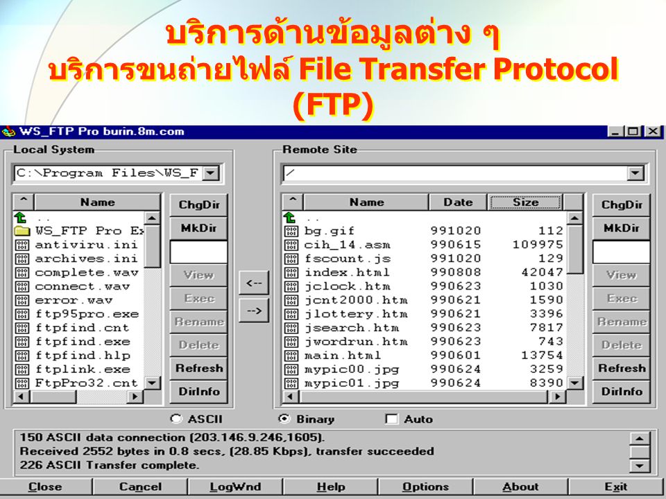 บริการด้านข้อมูลต่าง ๆ บริการขนถ่ายไฟล์ File Transfer Protocol (FTP)