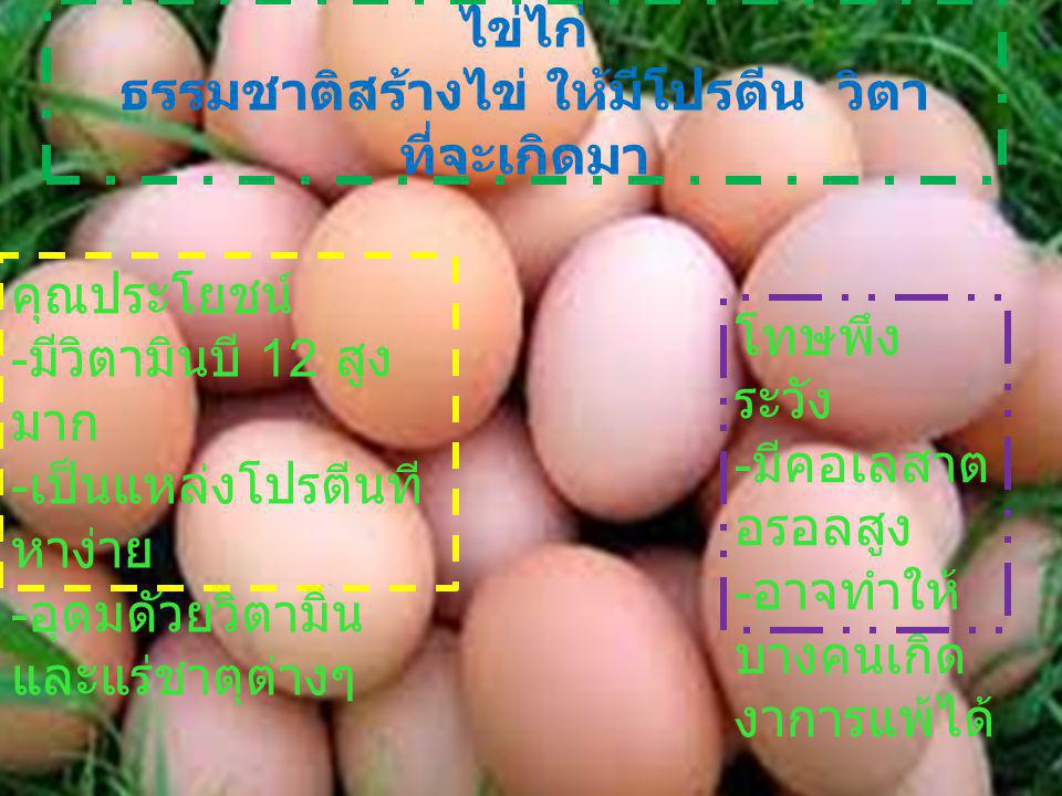 ไข่ไก่ ธรรมชาติสร้างไข่ ให้มีโปรตีน วิตา ที่จะเกิดมา