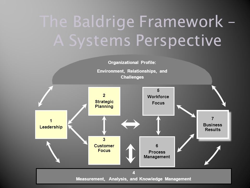 The Baldrige Framework – A Systems Perspective