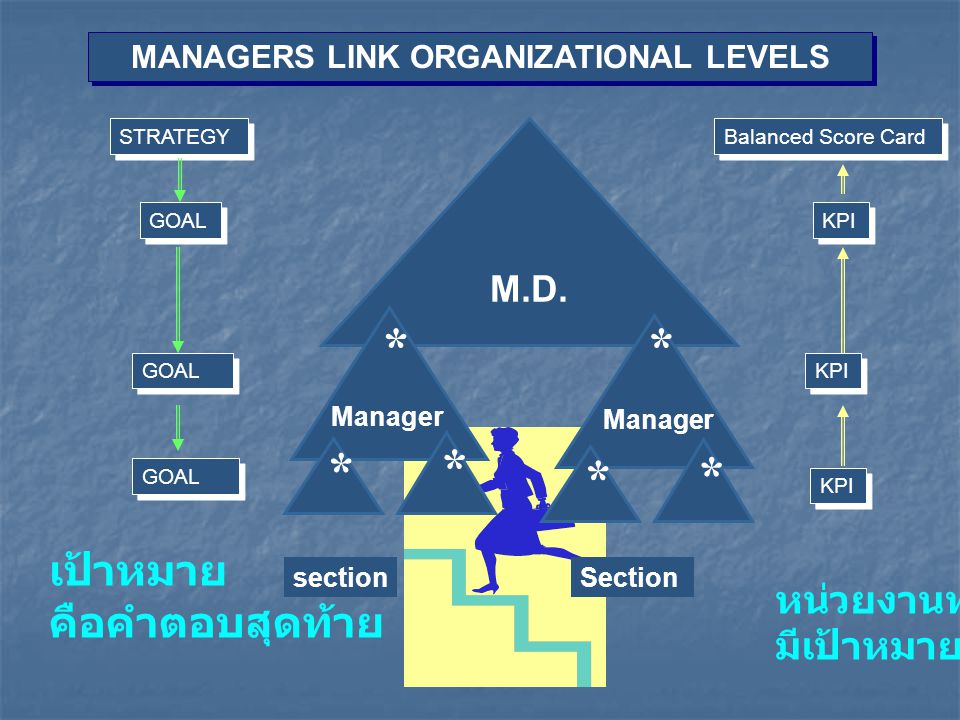 MANAGERS LINK ORGANIZATIONAL LEVELS