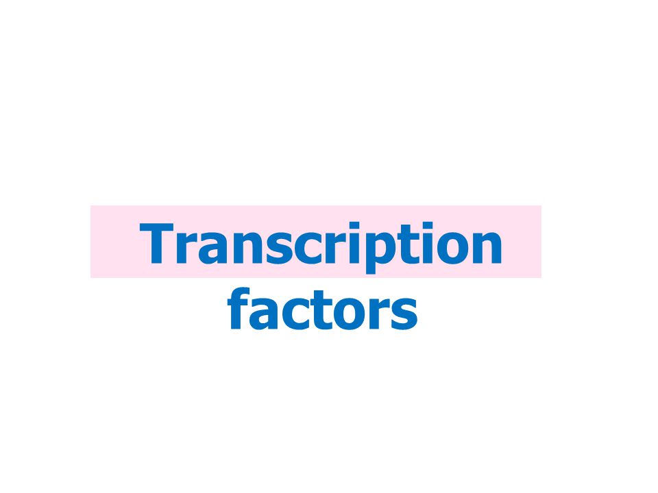 Transcription factors