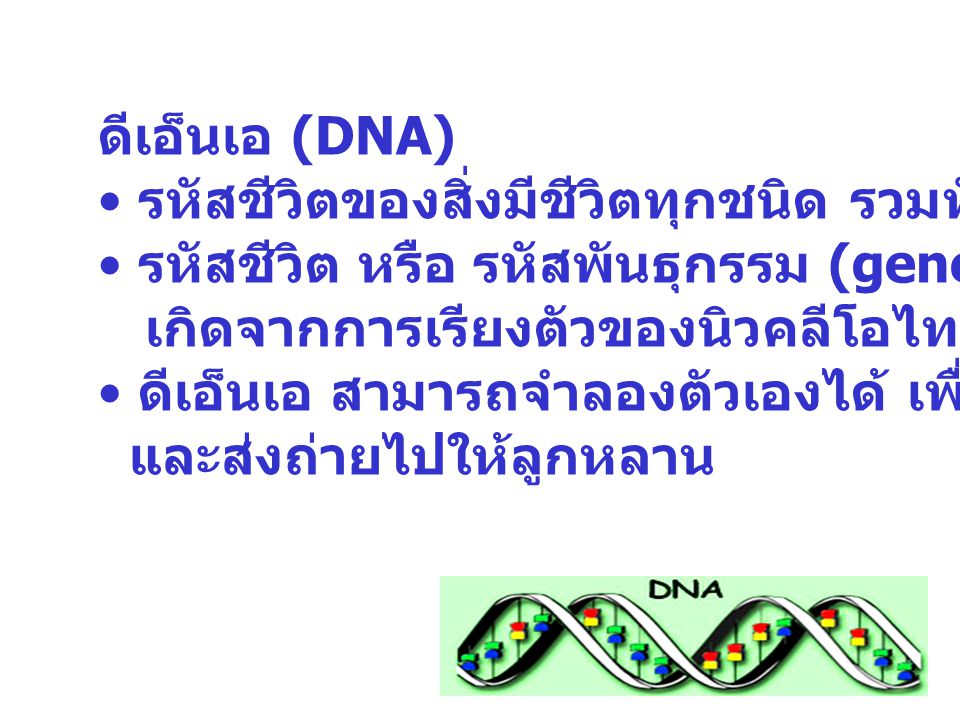 ดีเอ็นเอ (DNA) รหัสชีวิตของสิ่งมีชีวิตทุกชนิด รวมทั้งตัวเราด้วย. รหัสชีวิต หรือ รหัสพันธุกรรม (genetic code)