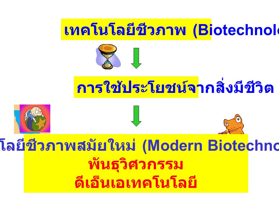 เทคโนโลยีชีวภาพสมัยใหม่ (Modern Biotechnology)