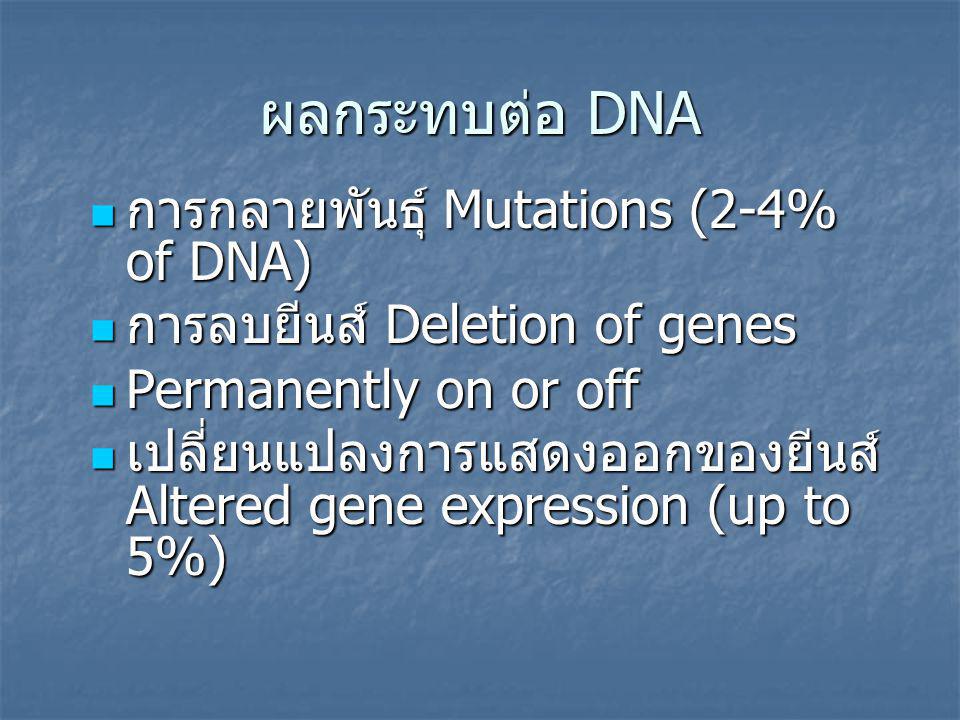 ผลกระทบต่อ DNA การกลายพันธุ์ Mutations (2-4% of DNA)