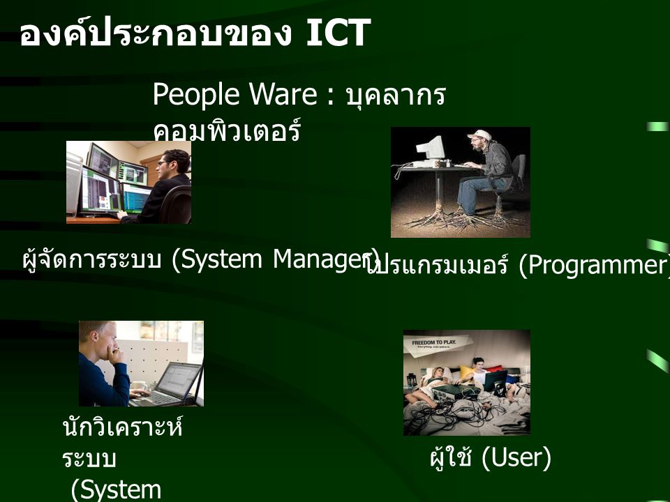 องค์ประกอบของ ICT People Ware : บุคลากรคอมพิวเตอร์