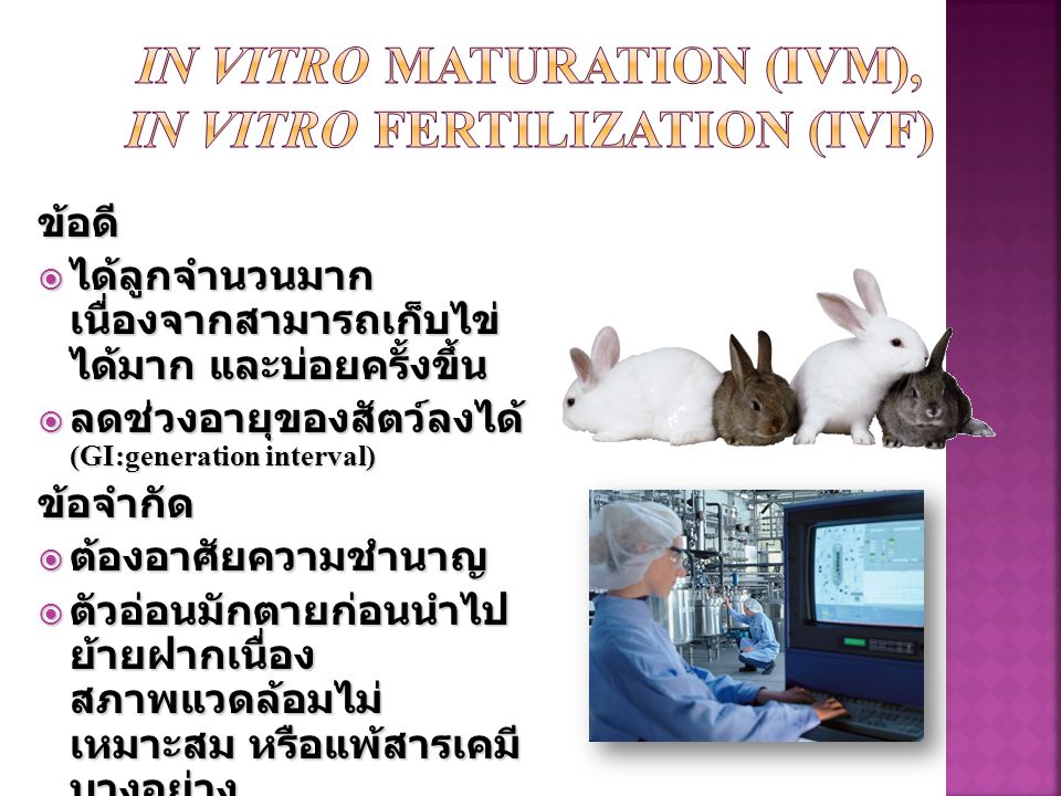 In vitro maturation (IVM), In vitro Fertilization (IVF)