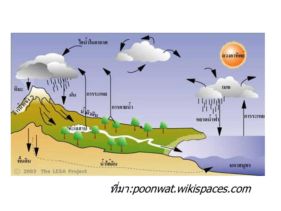 ที่มา:poonwat.wikispaces.com