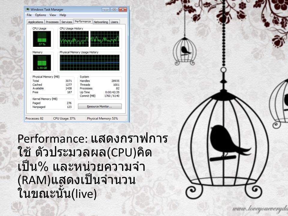 Performance: แสดงกราฟการใช้ ตัวประมวลผล(CPU)คิดเป็น% และหน่วยความจำ(RAM)แสดงเป็นจำนวน ในขณะนั้น(live)