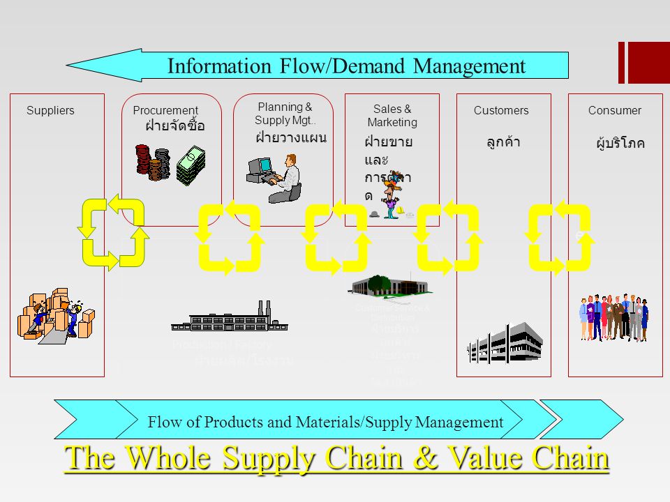 The Whole Supply Chain & Value Chain
