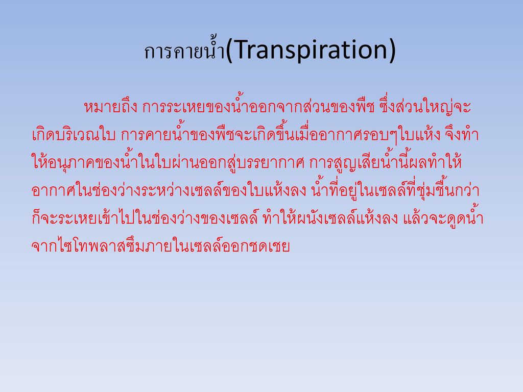 การคายน้ำ(Transpiration)