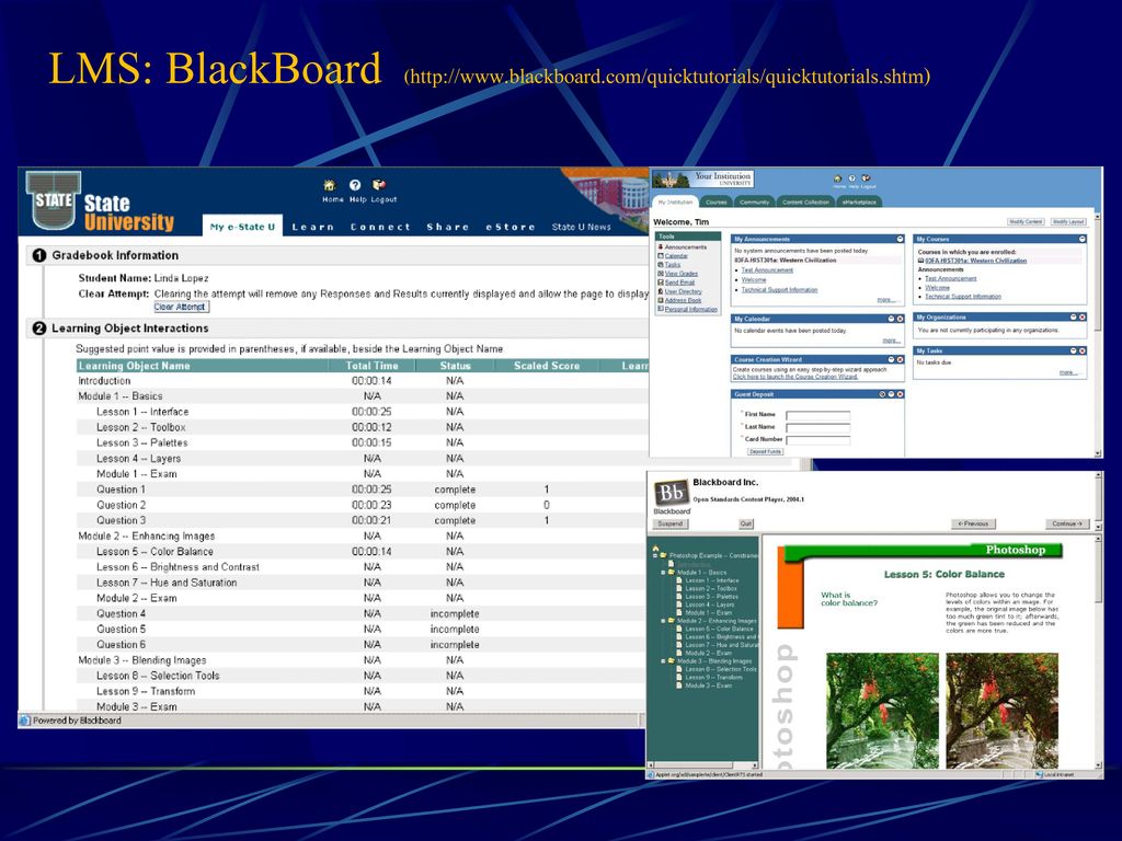 LMS: BlackBoard (  blackboard