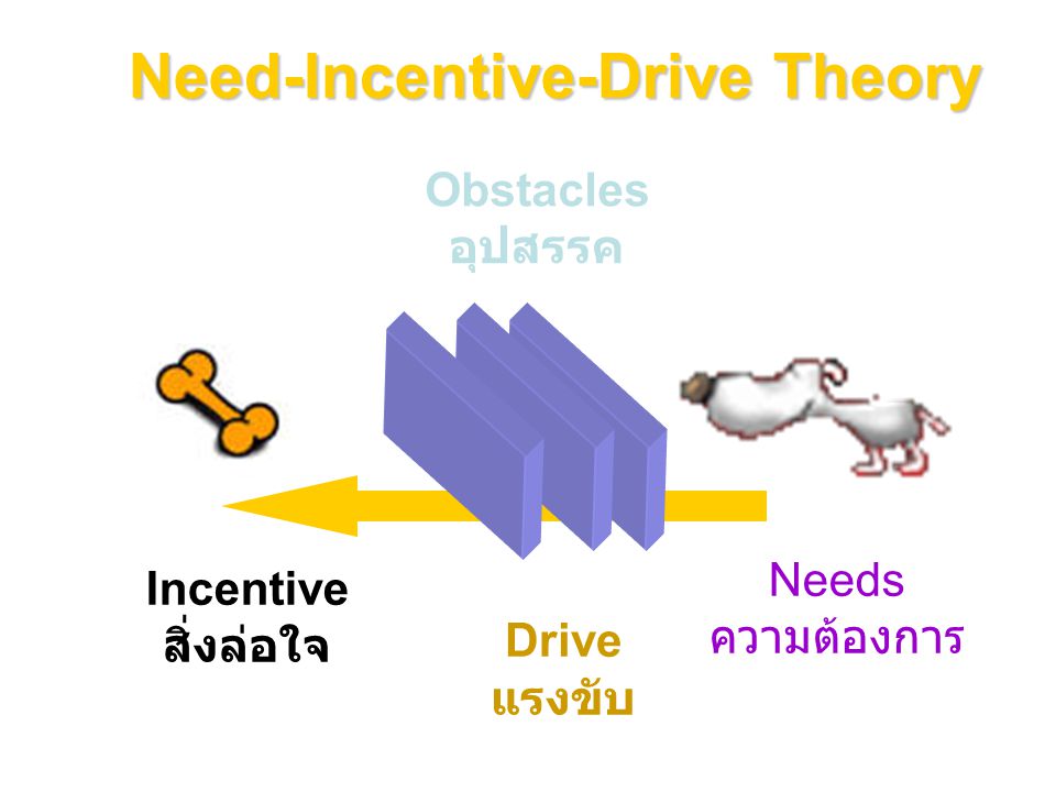 Need-Incentive-Drive Theory