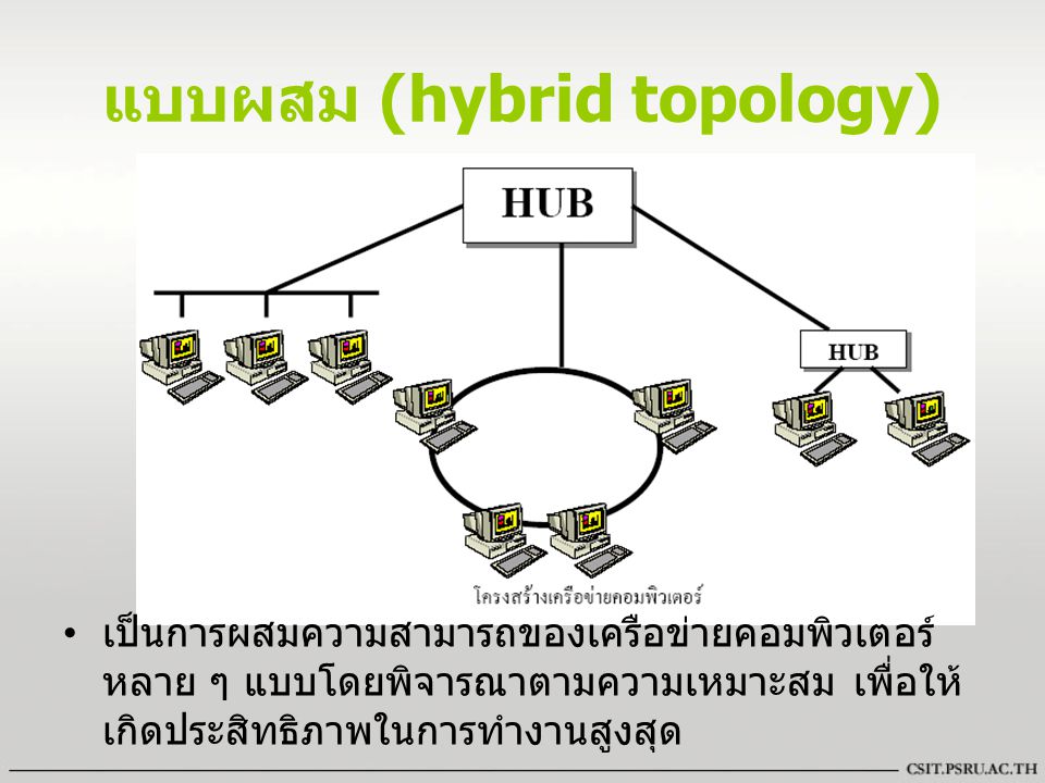 แบบผสม (hybrid topology)