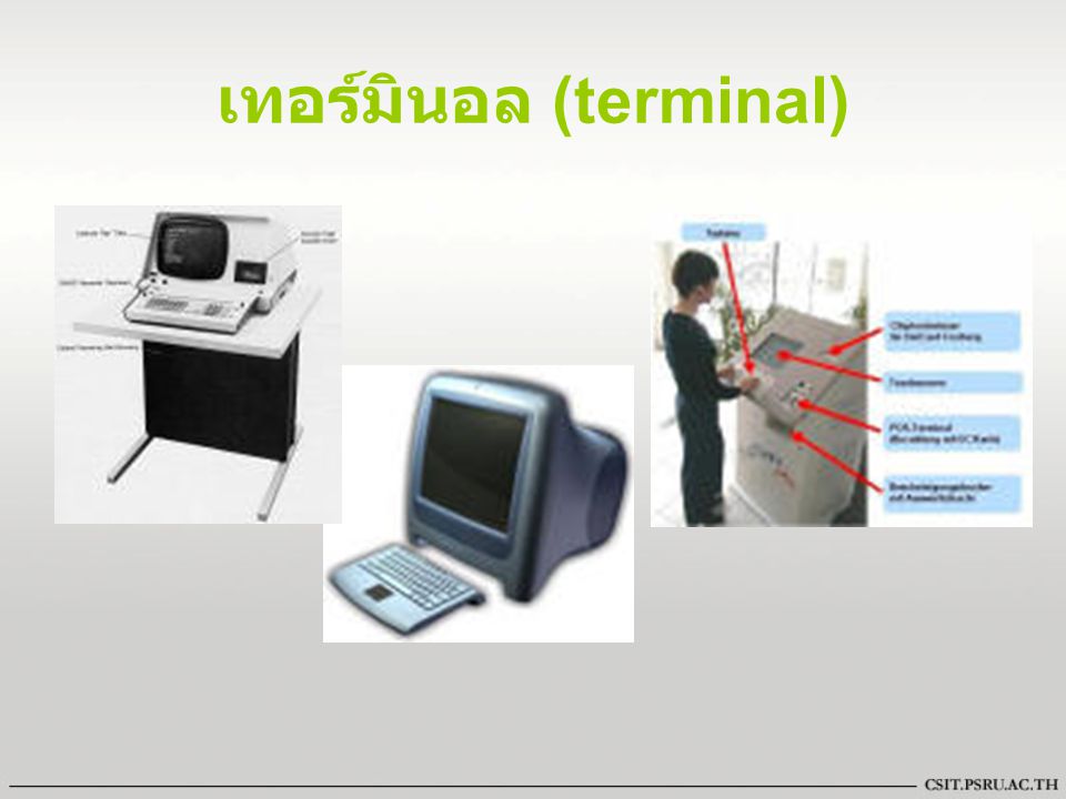 เทอร์มินอล (terminal)
