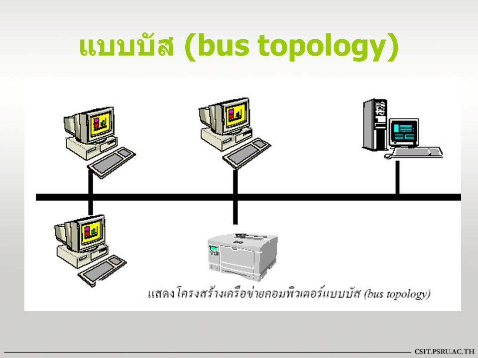 แบบบัส (bus topology) สายส่งข้อมูลหลัก