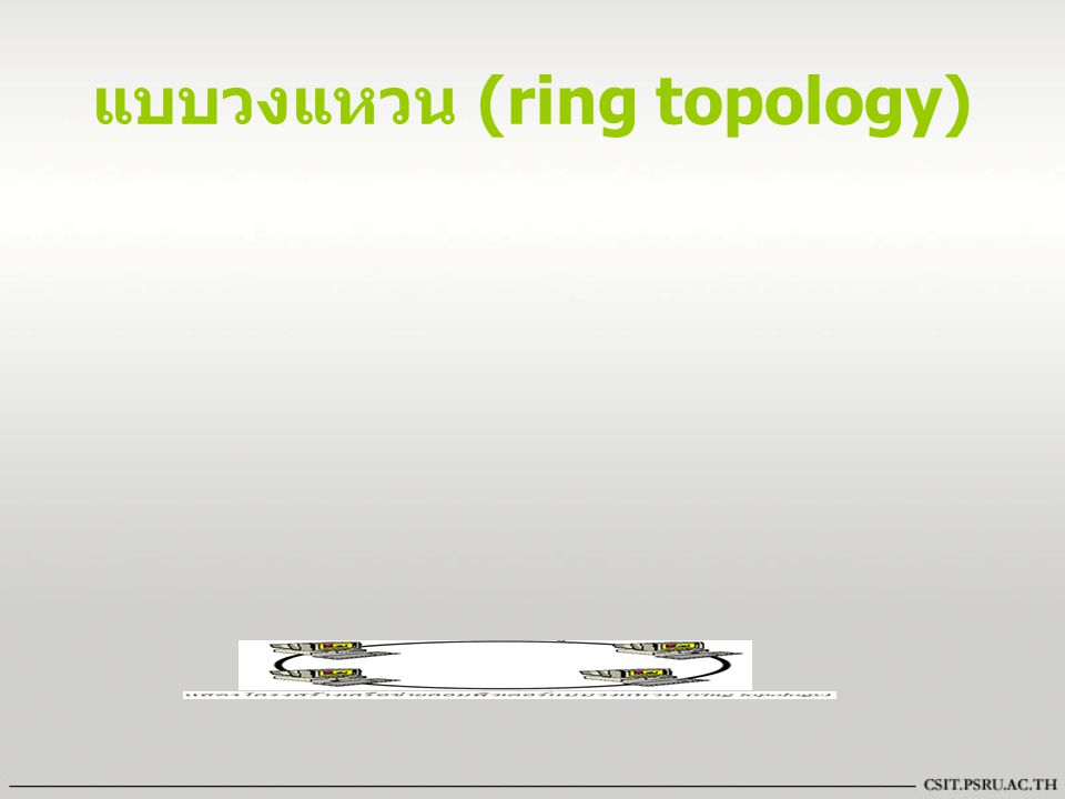 แบบวงแหวน (ring topology)