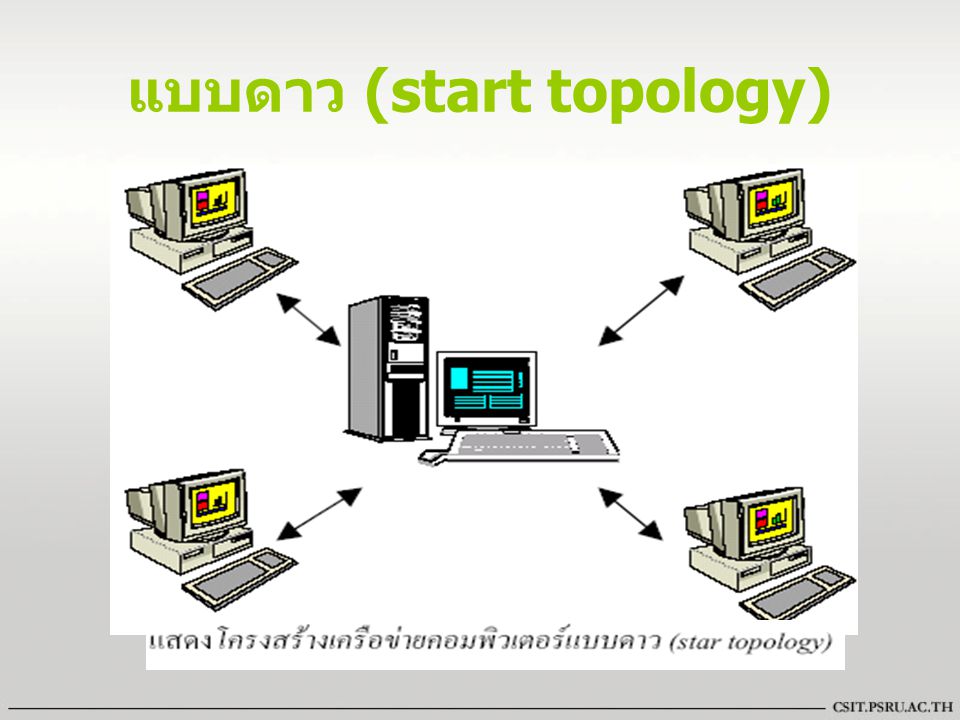 แบบดาว (start topology)