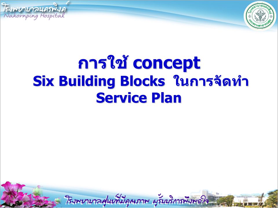 การใช้ concept Six Building Blocks ในการจัดทำ Service Plan