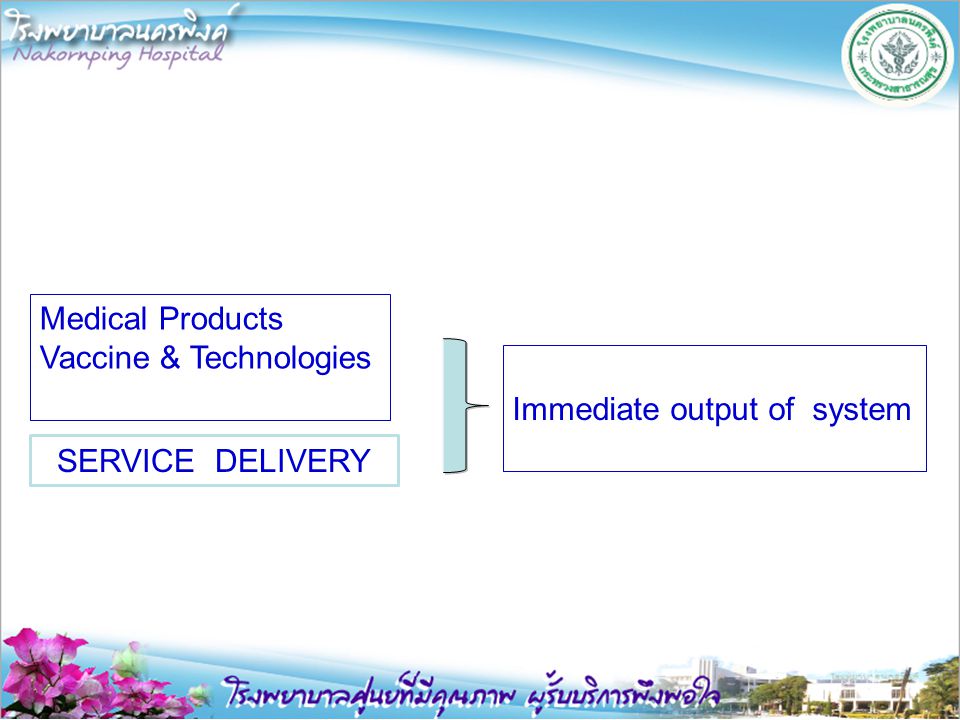 Medical Products Vaccine & Technologies Immediate output of system SERVICE DELIVERY