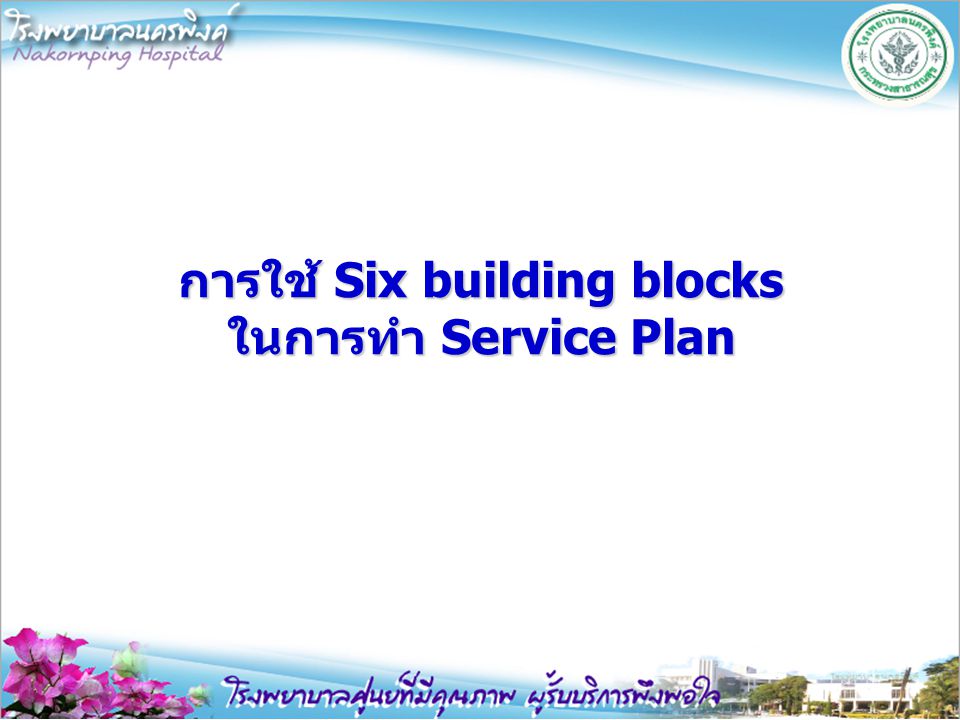 การใช้ Six building blocks ในการทำ Service Plan