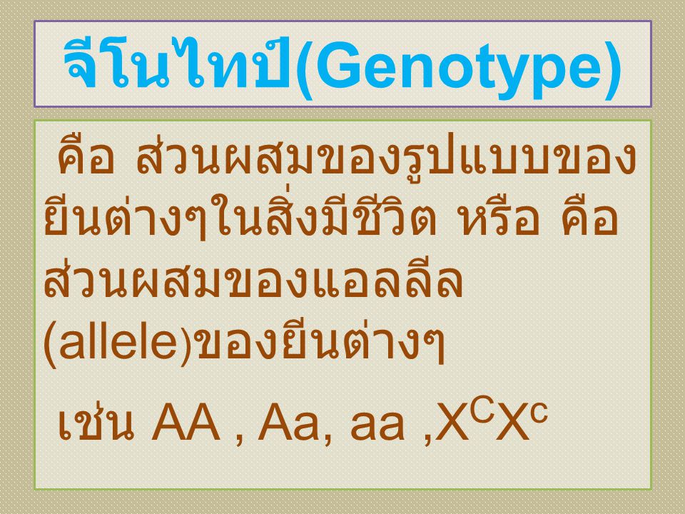 จีโนไทป์(Genotype) คือ ส่วนผสมของรูปแบบของยีนต่างๆในสิ่งมีชีวิต หรือ คือ ส่วนผสมของแอลลีล(allele)ของยีนต่างๆ เช่น AA , Aa, aa ,XCXc