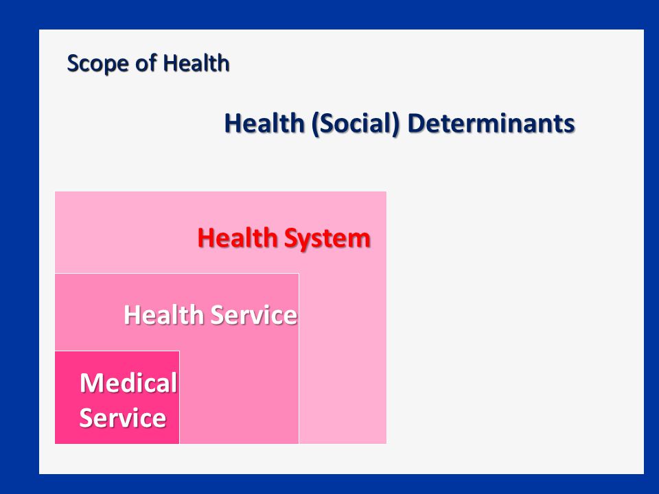Health (Social) Determinants