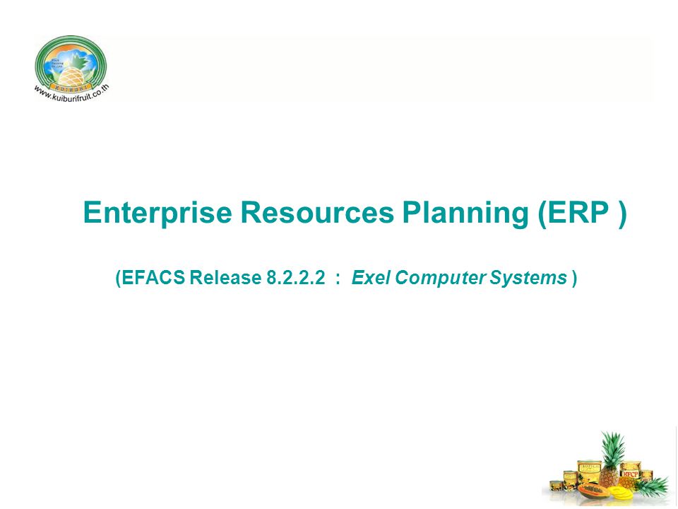 Enterprise Resources Planning (ERP )