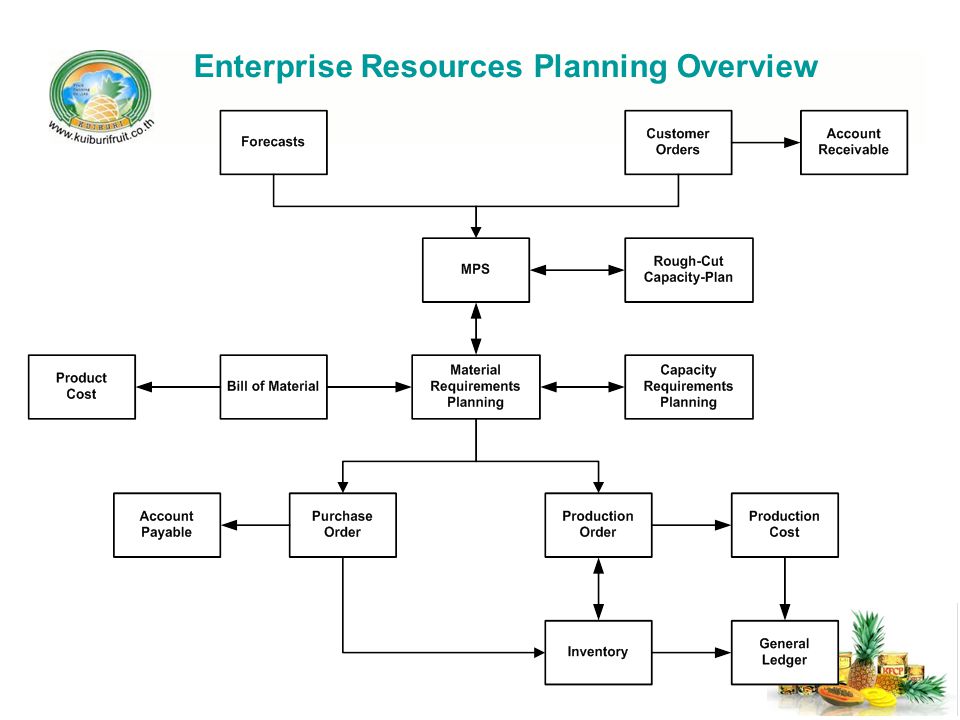 Enterprise Resources Planning Overview