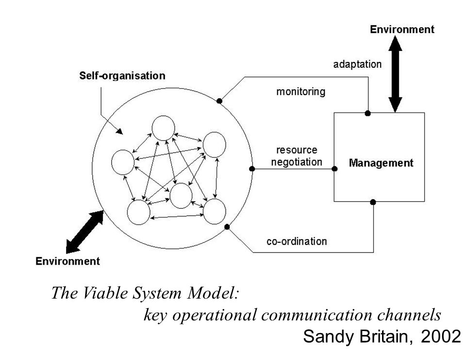 The Viable System Model: