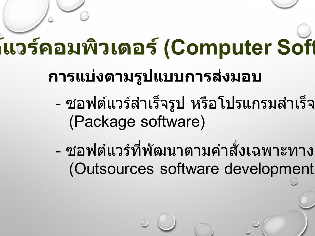 ซอฟต์แวร์คอมพิวเตอร์ (Computer Software)