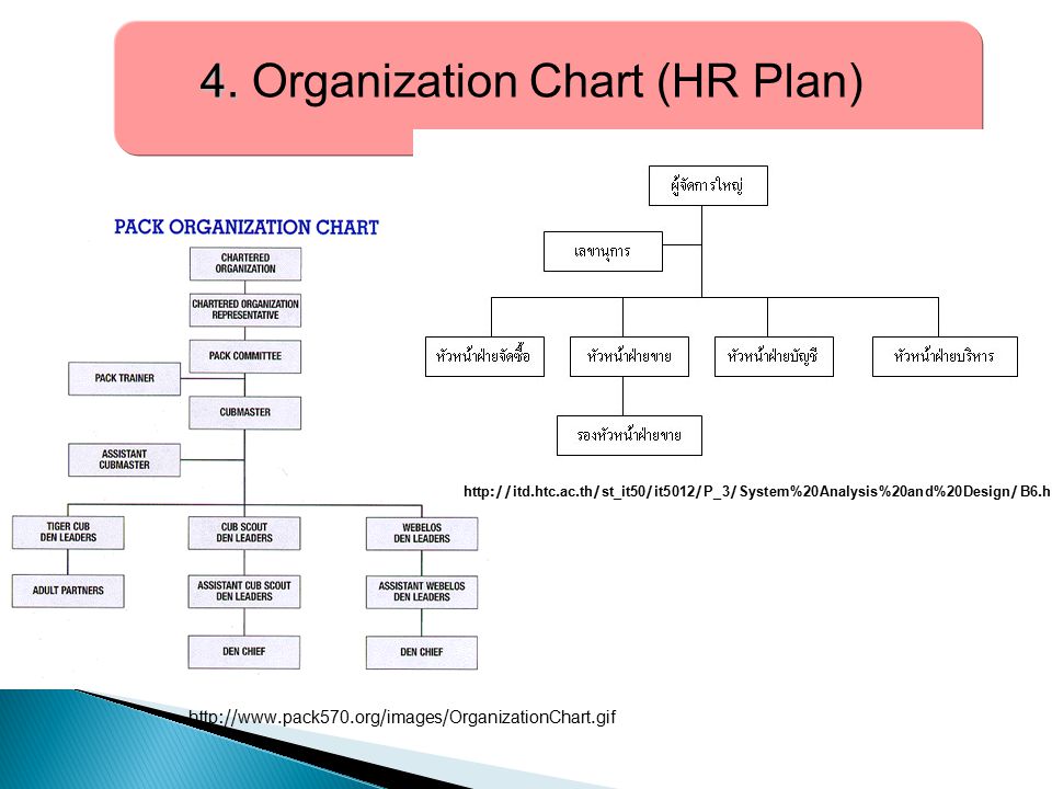 4. Organization Chart (HR Plan)